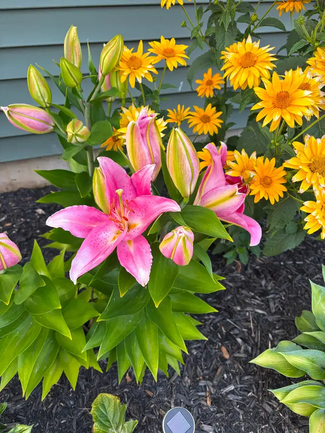 Modern 3 Bedroom 2 Bath Semi Detached close to Greenwood NS - Photo 9