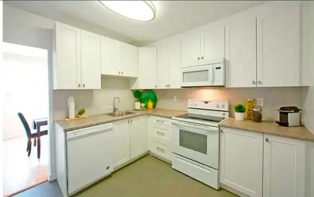 1 Bedroom Apartment SUBLET - Photo 4
