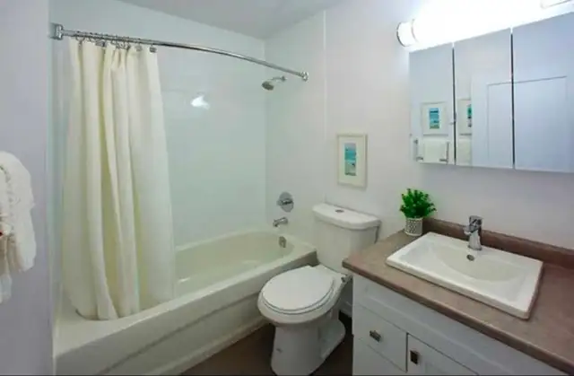 1 Bedroom Apartment SUBLET - Photo 7