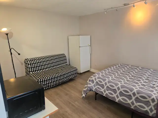 ONE MONTH - RENT FREE! FULLY FURNISHED, 55' SMART TV, JACUZZI - Photo 4