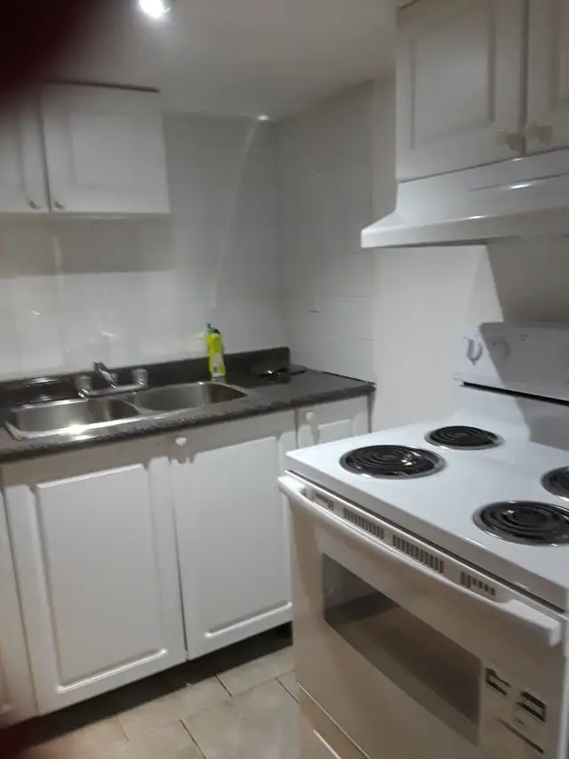 Private Room-Basement-Scarborough-April 1st - Photo 4