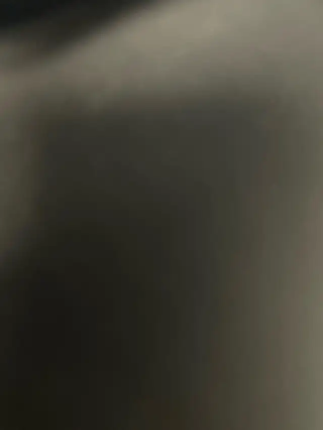 Truck driver- flatbed/ container/ dry van