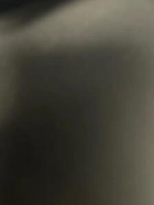 Truck driver- flatbed/ container/ dry van