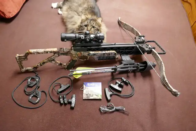 Excalibur G 340 Crossbow