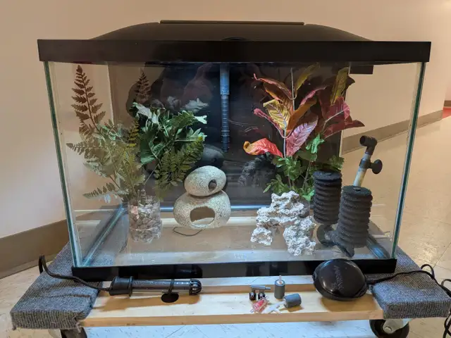 Aquarium 20 gallons équipé
