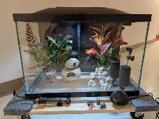Aquarium 20 gallons équipé