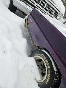 74 swinger - Photo 6