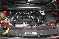 2019 Ford Escape SE - Photo 12