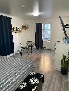 ✨ STUDIO LUXE MEUBLÉ – MÉTRO PAPINEAU ✨