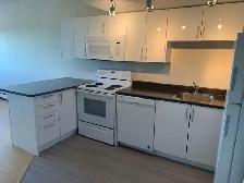 Beautiful, bright 1 bedroom suite for April 1st!