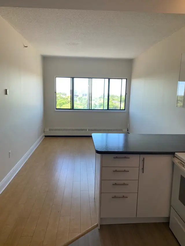 Beautiful, bright 1 bedroom suite for April 1st! - Photo 2