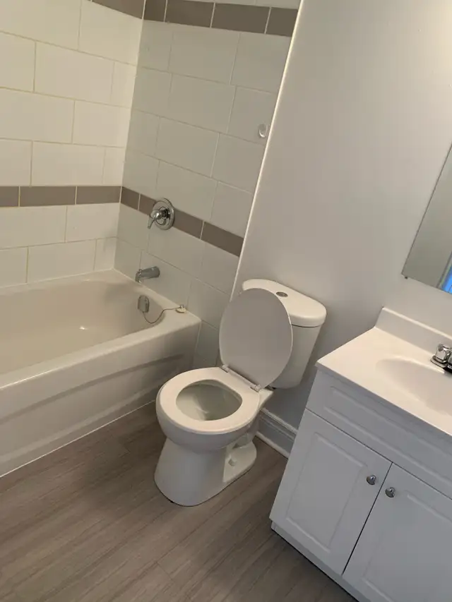 Beautiful, bright 1 bedroom suite for April 1st! - Photo 5