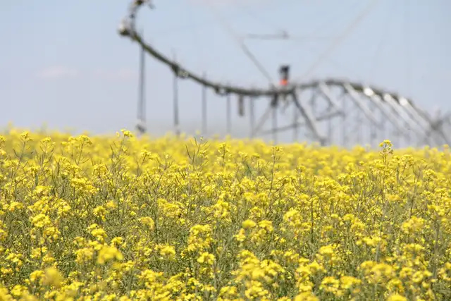 Farm Hand Needed - Full Time - Photo 5