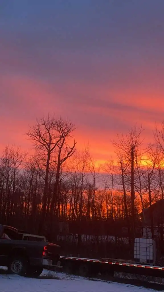 Experienced Framers - Photo 7