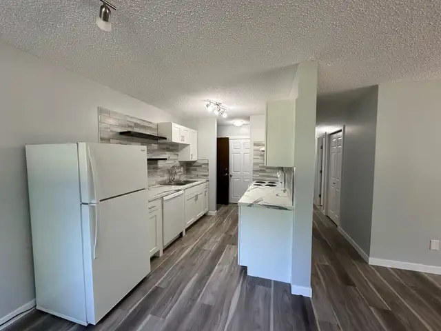 Modern and Spacious 2-Bedroom Apartment - SMALL PET FRIENDLY! - Photo 3