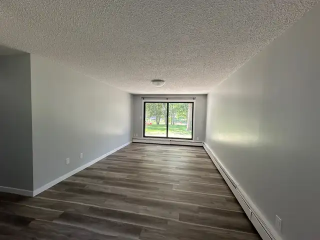 Modern and Spacious 2-Bedroom Apartment - SMALL PET FRIENDLY! - Photo 5