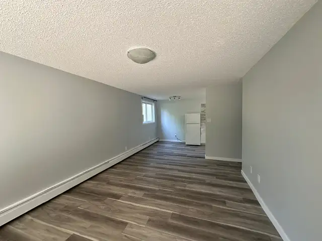 Modern and Spacious 2-Bedroom Apartment - SMALL PET FRIENDLY! - Photo 6
