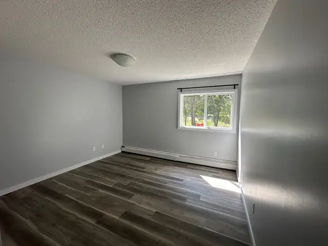 Modern and Spacious 2-Bedroom Apartment - SMALL PET FRIENDLY! - Photo 9