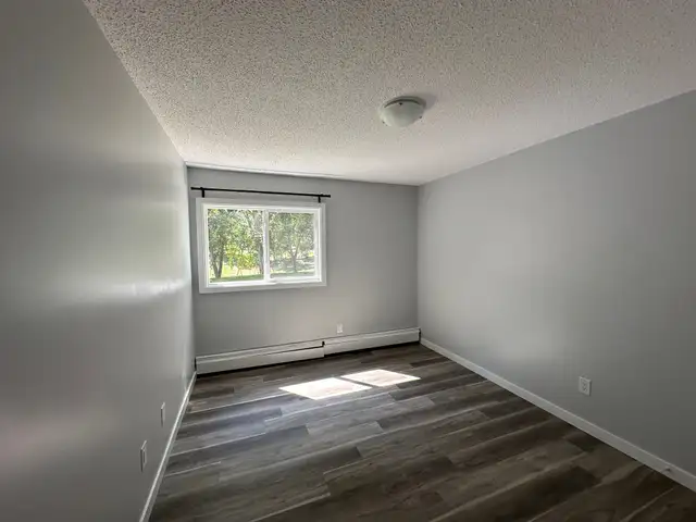 Modern and Spacious 2-Bedroom Apartment - SMALL PET FRIENDLY! - Photo 12