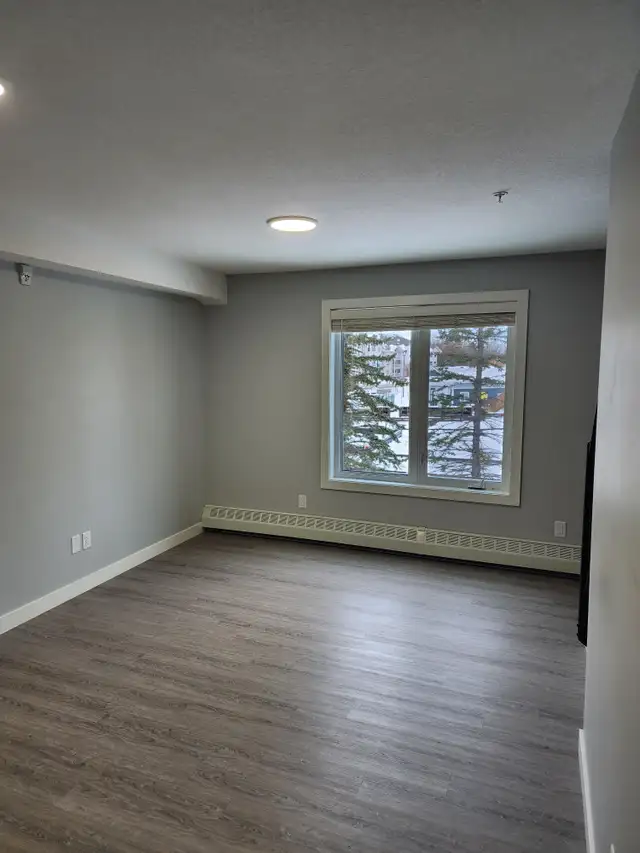 2 Bed Apartment Located on the Beach Front! - Photo 3