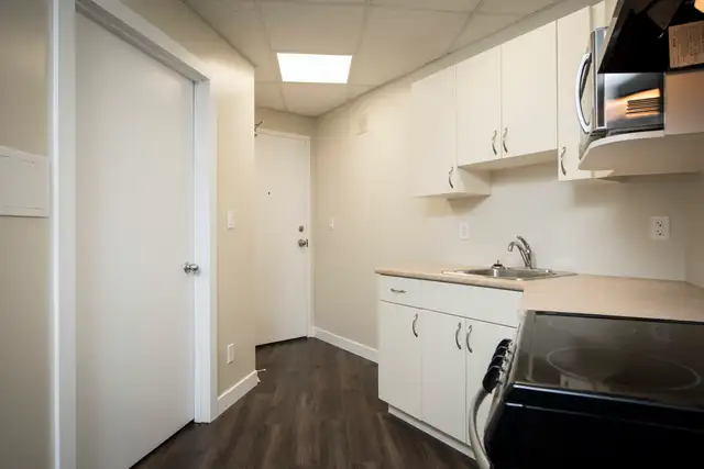 1310 Archibald Street - Studio Suite Apartment for Rent - Photo 3