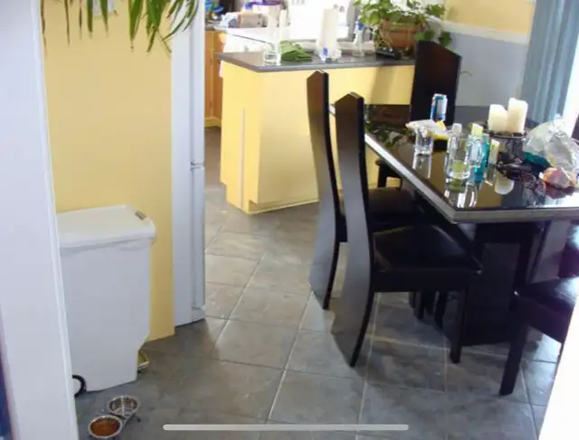 À LOUER GRANDE 5 ½ ST-LEONARD, TRÈS BEAU, PROPRE, MAGNIFIQUE - Photo 4