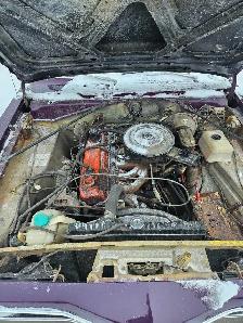 74 swinger - Photo 4