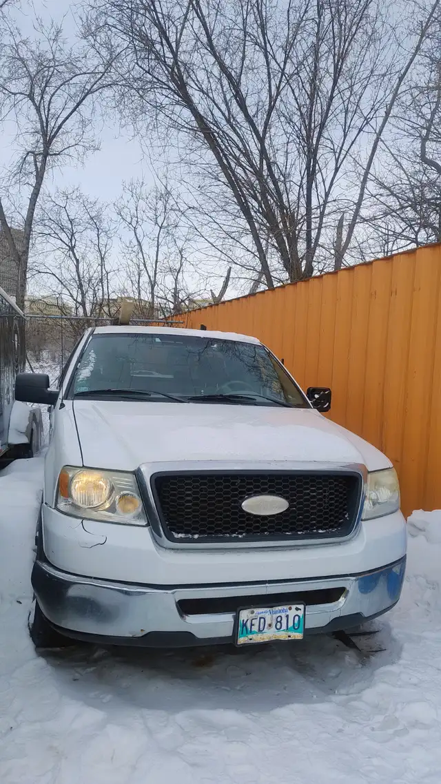 2007 Ford F-150 XLT 4.6L