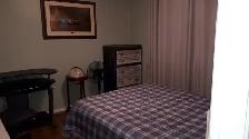 $850.00/month Roommate, with all utilities included plus parking - Photo 4