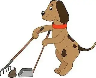 Dog waste, poo, poop spring clean up. - Photo 3
