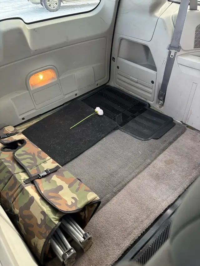 2008 Dodge Grand Caravan - Photo 8