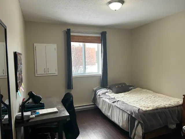 2 Chambres / 5 électroménagers / Plateau – Mai 2026 - Photo 9