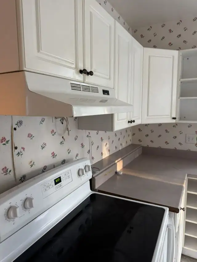 4-5 bedroom house at 281 Collingwood Kingston ON - Photo 6