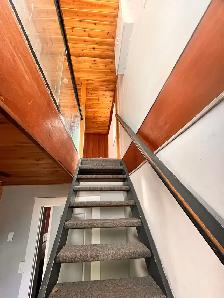 multiple rooms  for rent - Photo 4