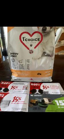 Magnifiques chiots Yorkshire - Photo 6