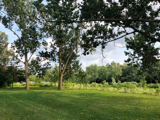 LOCATION.LOCATION. Nice 1 bedroom Apt. Available April 1st. - Photo 9