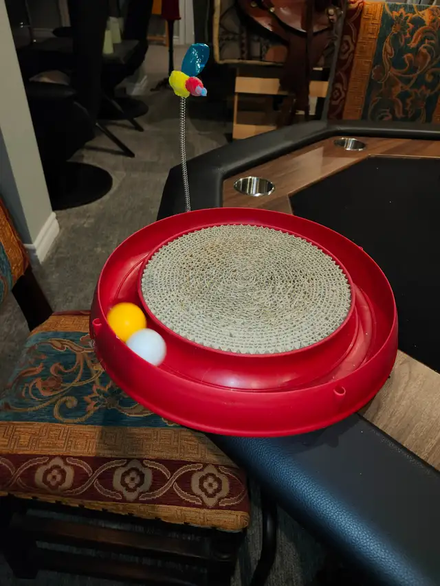 Cat toy - Photo 3