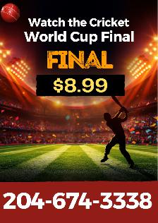 Stream Cricket World Cup Final Live Today – Just $8.99