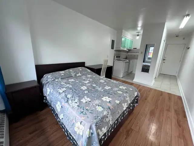 Downtown Near McGill All Included Furnitured Studio for Rent !! - Photo 3