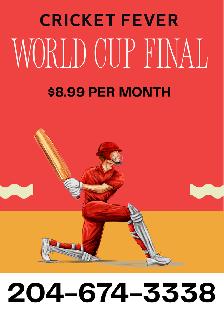 Cricket World Cup Final Live Streaming – Only $8.99