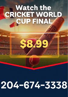 Stream Cricket World Cup Final Anywhere – Only $8.99