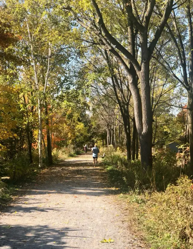 One bedroom apartment all inclusive – across from beach & trail - Photo 9