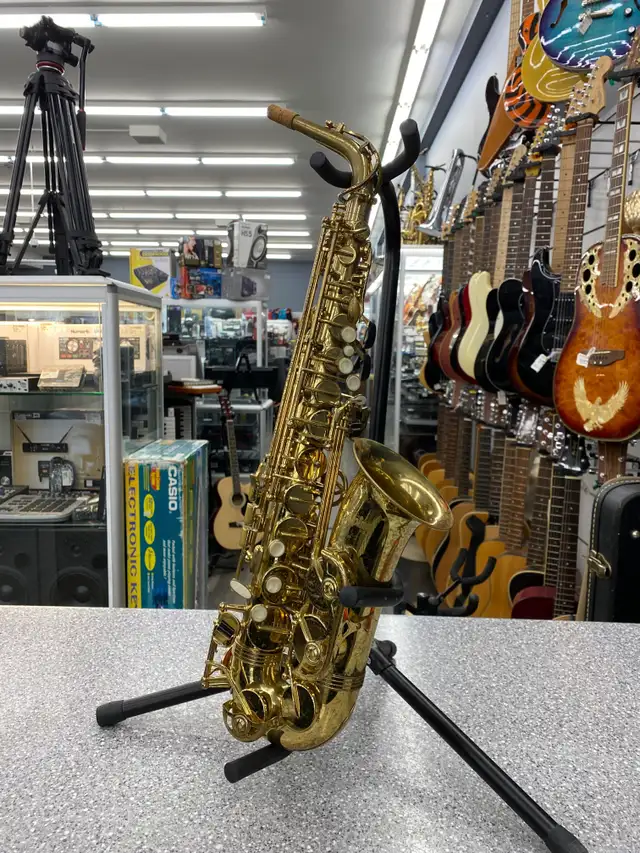 Alpine  AAS-769 Alto Saxophone - Photo 2