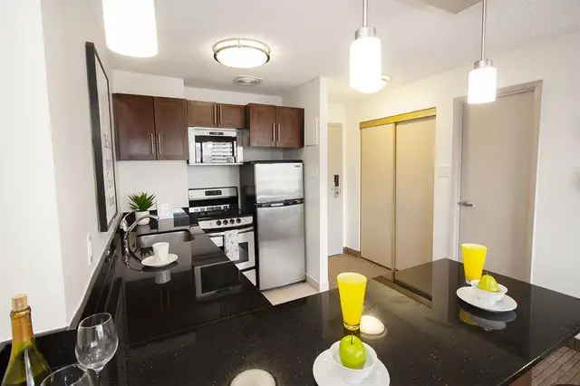 190 Smith Apartment Suites - Studio Suite (Type A) Apartment for - Photo 11