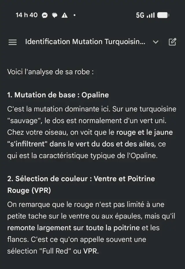 MAGNIFIQUE COUPLE DE PERRUCHE TURQUOISINE 2 ANS - Photo 5