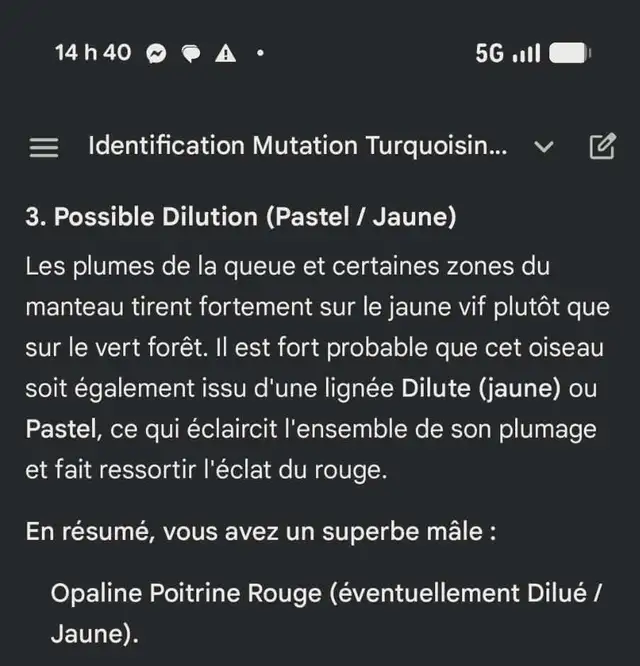 MAGNIFIQUE COUPLE DE PERRUCHE TURQUOISINE 2 ANS - Photo 6