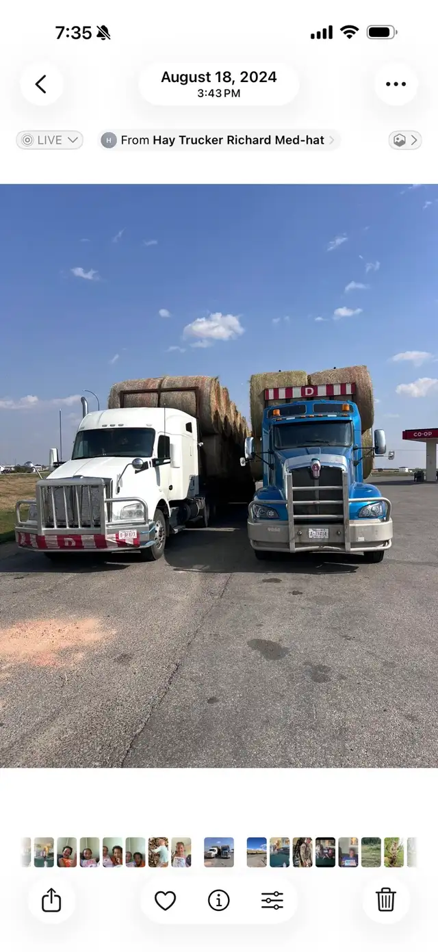 alfalfa bales - Photo 4