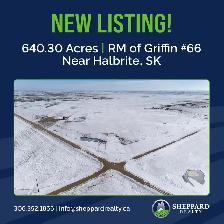 4 Qtrs of Grain Land | RM of Griffin # 66 | Near Halbrite, SK