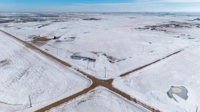 4 Qtrs of Grain Land | RM of Griffin # 66 | Near Halbrite, SK - Photo 2