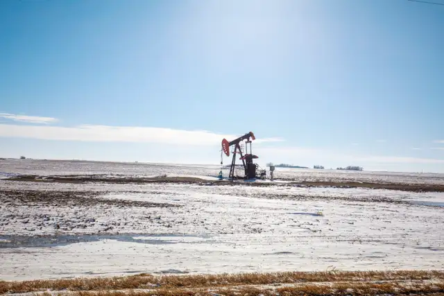 4 Qtrs of Grain Land | RM of Griffin # 66 | Near Halbrite, SK - Photo 4